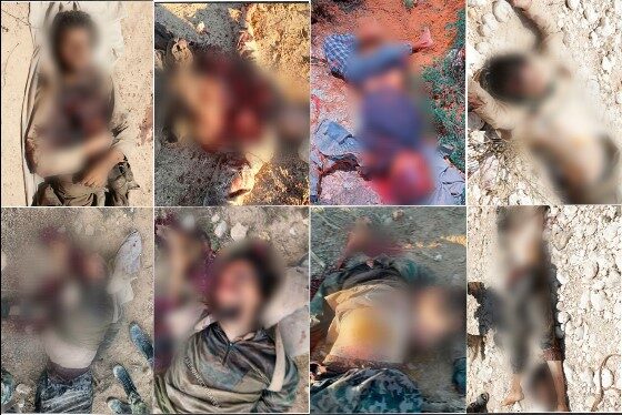 image 2025 04 23 00 33 38 image 2025 04 23 00 33 38