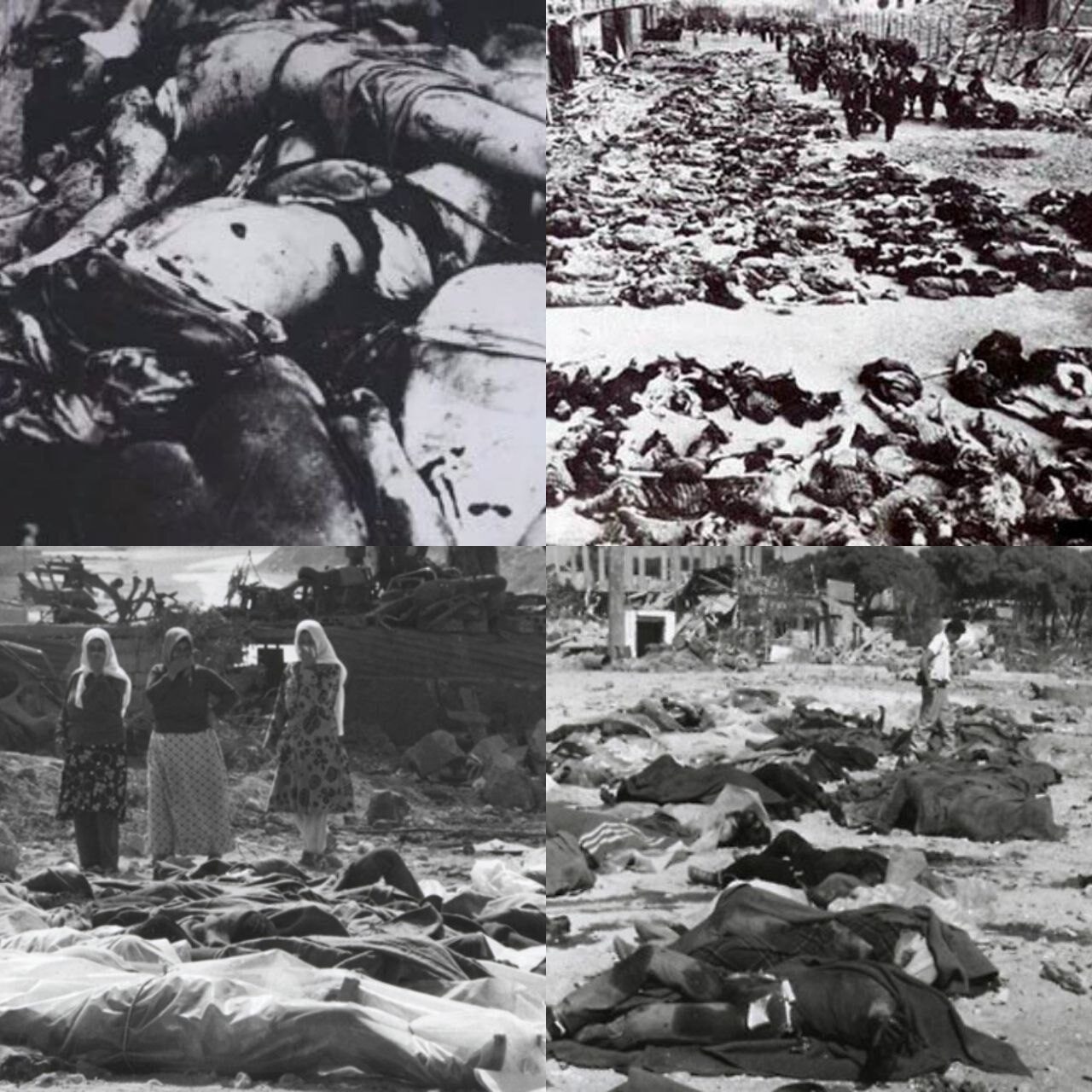 IMG 20250410 091422 924 IMG 20250410 091422 924