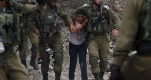 image 2025 04 11 17 04 34