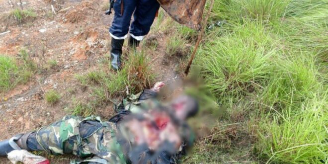 photo 2025 04 17 14 42 54