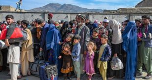 image 2025 04 13 23 49 16