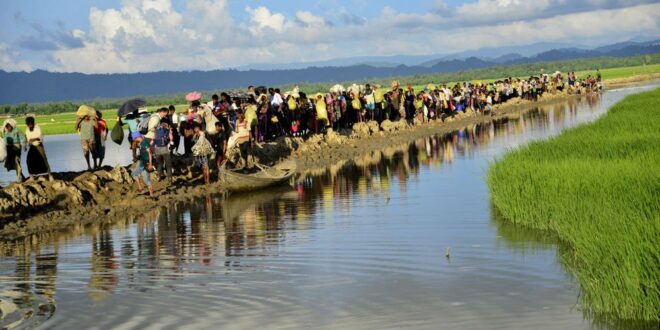 photo 2025 04 19 13 00 59