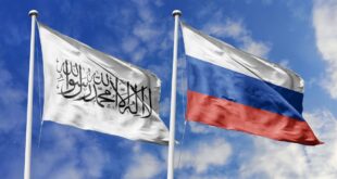 shutterstock 2456874035 scaled