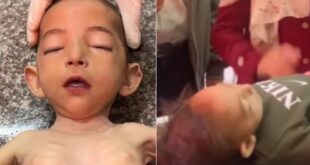 image 2025 04 18 16 03 33