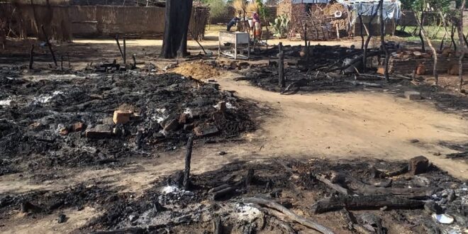 image 2025 04 29 20 44 53