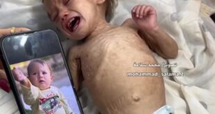 image 2025 05 25 18 37 39