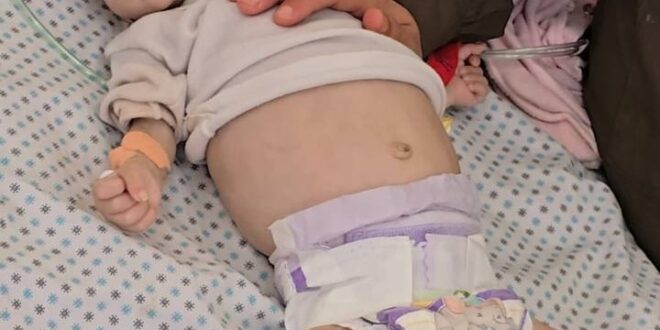 5814557164214273529 121