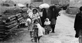 5850726617117215018 120