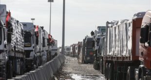 image 2025 05 15 12 06 57