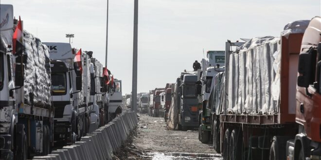 image 2025 05 15 12 06 57