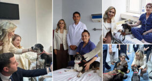 d9ec24d4 q817hd921alxad2avk99l