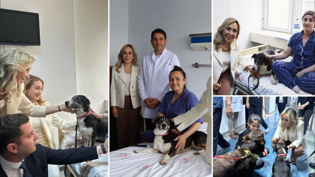 AKP’nin itperest vekilinden skandal: Ameliyatlı hastalara köpek terapisi!