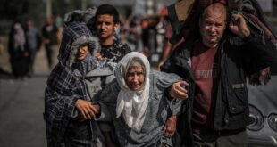 image 2025 05 11 19 04 03