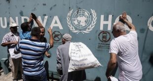 image 2025 05 30 11 01 32