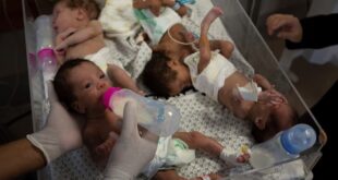 image 2025 05 20 17 17 18