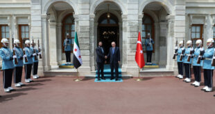 aa picture 20250524 38065686