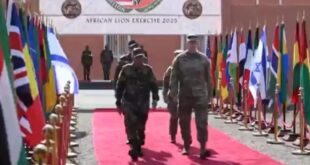 image 2025 05 22 16 05 26