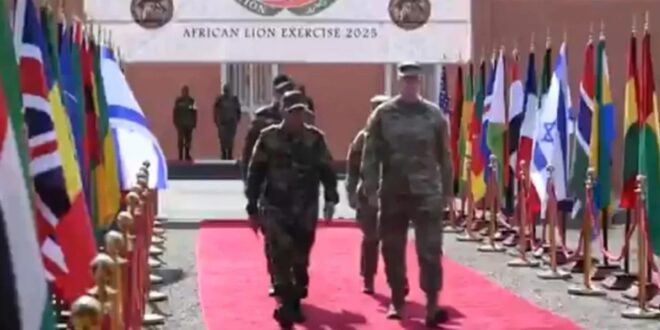 image 2025 05 22 16 05 26