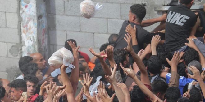 photo 2025 05 23 14 28 26