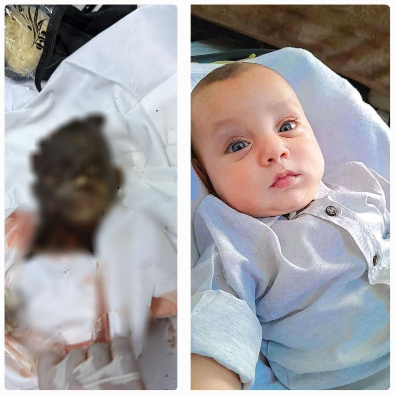 photo 2025 05 18 12 53 33 photo 2025 05 18 12 53 33