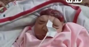 Ekran görüntüsü 2025 05 04 140307