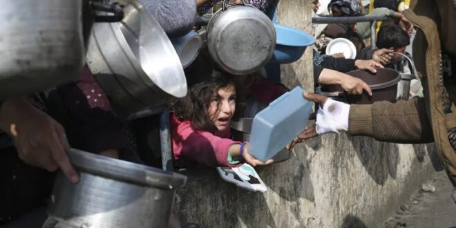 image 2025 05 01 21 25 39