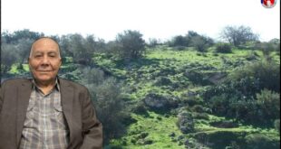 image 2025 05 17 13 19 19