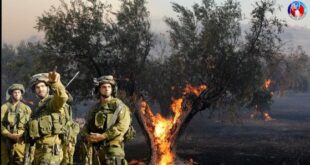 image 2025 05 31 19 59 26