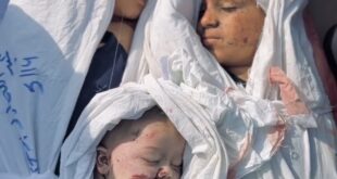 Screenshot 2025 05 15 16 33 25 806 edit org.telegram.messenger