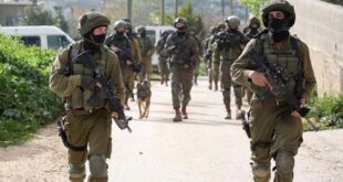 5882996652032243998 121