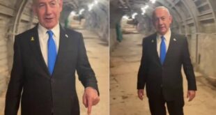 image 2025 05 27 23 50 20