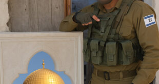 photo 2025 05 10 11 40 00