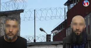 image 2025 05 25 17 35 46