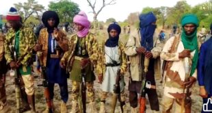 5882940392255633560 121