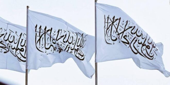 photo 2025 02 17 19 27 49