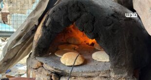 photo 2025 05 01 19 56 08