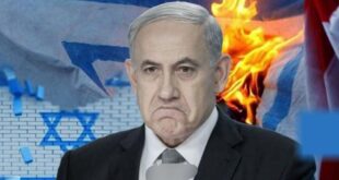 photo 2025 05 03 18 55 06