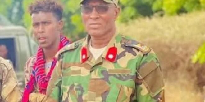 image 2025 05 18 16 43 27