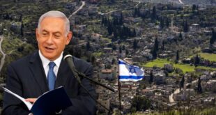 image 2025 05 13 12 38 39