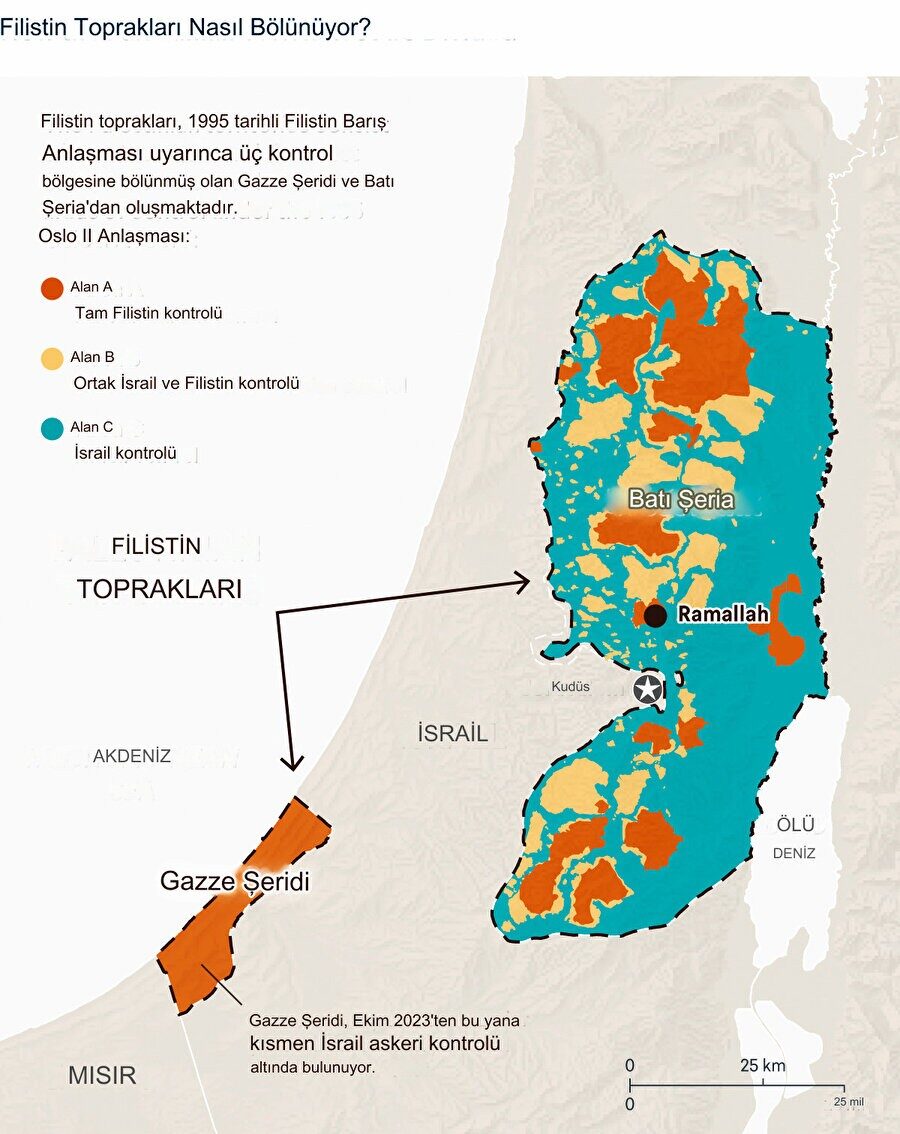 image 2025 05 13 12 14 02 image 2025 05 13 12 14 02