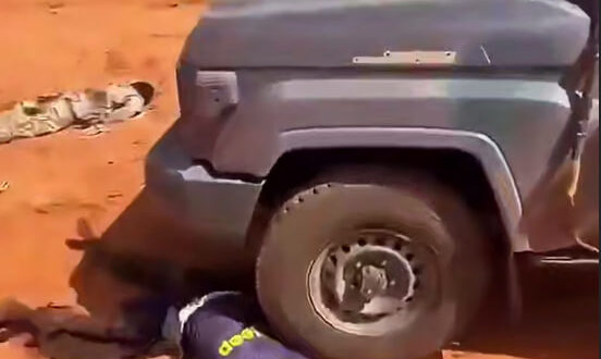 photo 2025 05 31 17 28 00