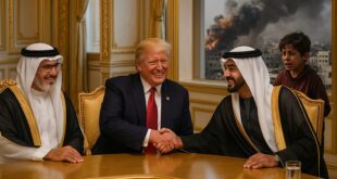 5c2f5dc8 3393 462c 91ed c9b566b40e04