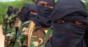 2025617638857555744546034