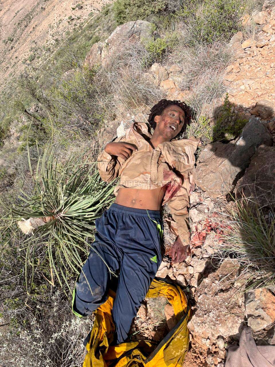 IMG 20250604 185130 934 IMG 20250604 185130 934