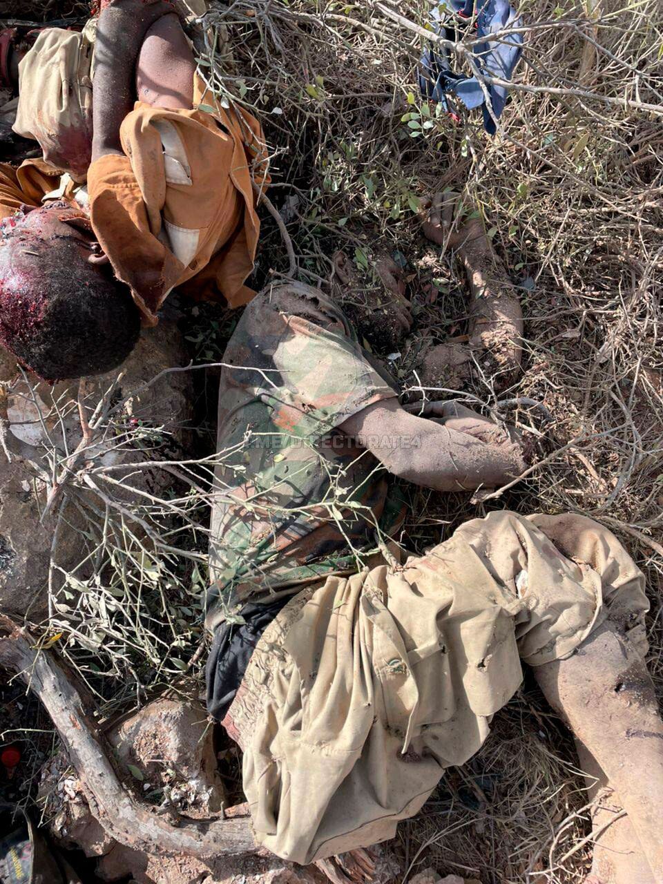 IMG 20250604 185130 946 IMG 20250604 185130 946