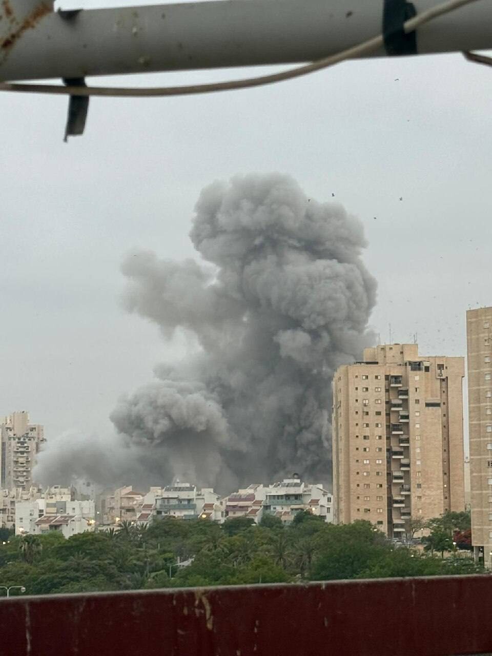 IMG 20250624 091229 977 IMG 20250624 091229 977