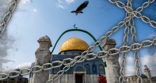 image 2025 06 13 17 06 59