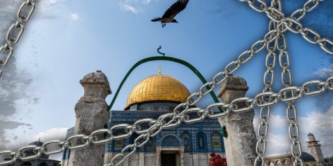 image 2025 06 13 17 06 59