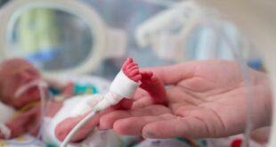 image 2025 06 18 11 05 21