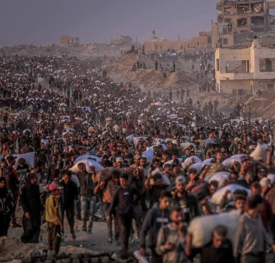 IMG 20250629 153805 401 IMG 20250629 153805 401